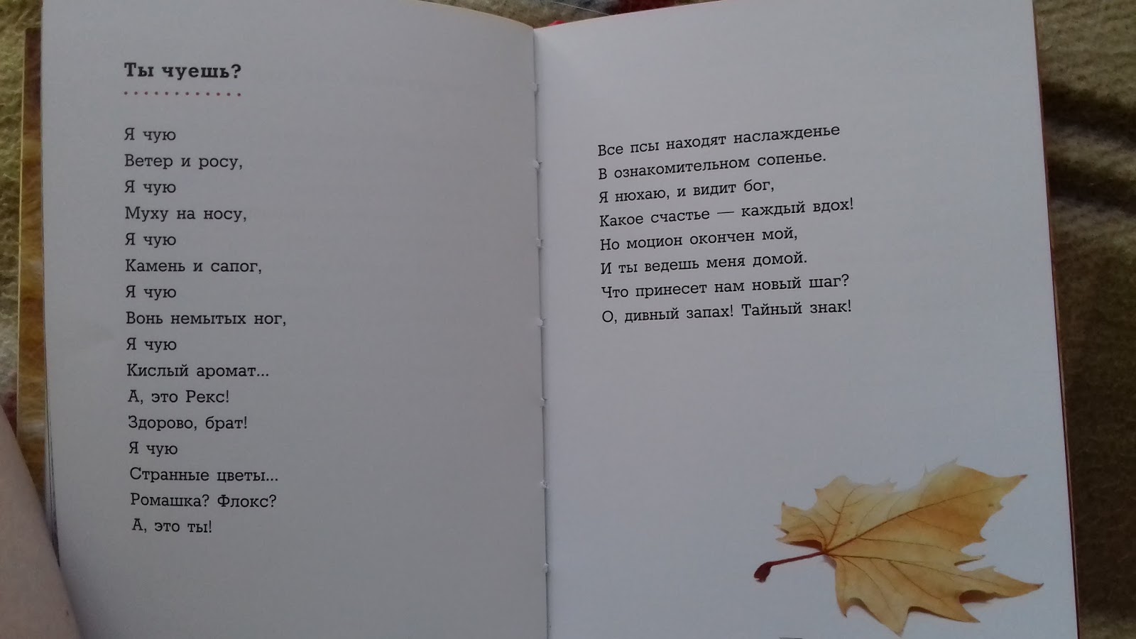 Мандельштам мы живем под собою не чуя. Мы живём под собою не чуя страны мандельштам текст. Не чуя сапогов. Осип мандельштам эпиграмма на сталина. Не чуя сапогов.