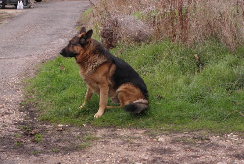 EL BALCON DE PIEDRA Quintanilla cabe Soto