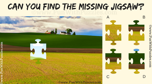 Easy Kids Missing Piece Jigsaw Puzzle - Farm Landscape