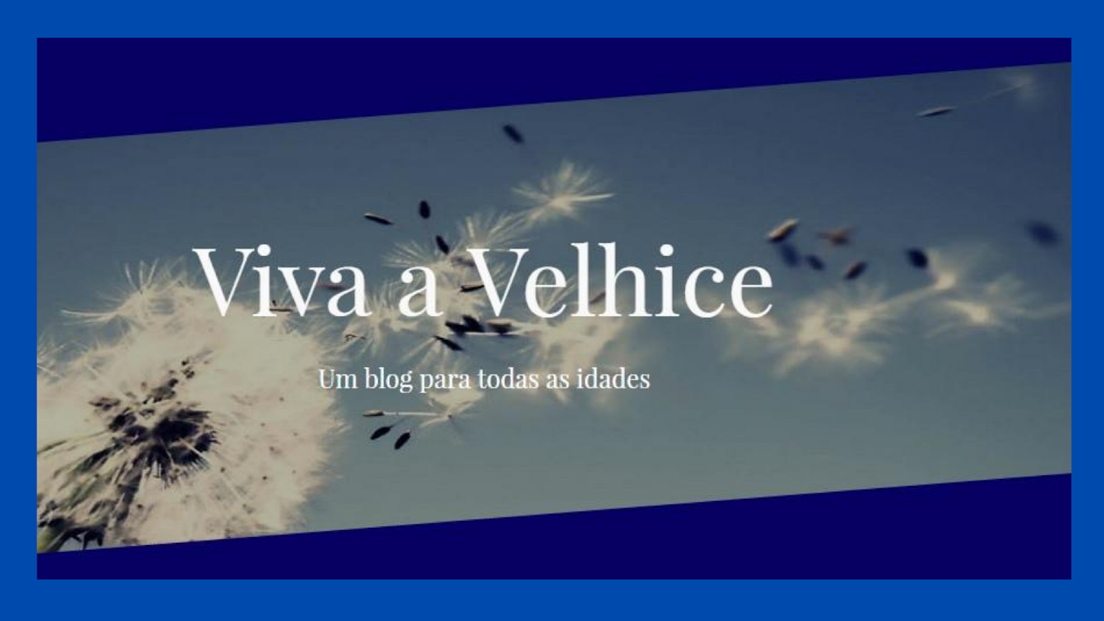 www.vivaavelhice.com