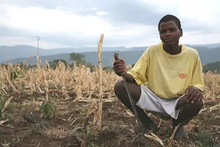 Farming in Ethiopia Africa
