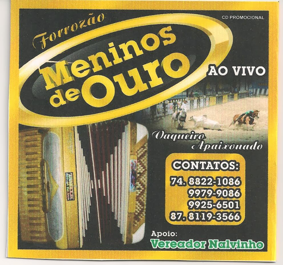 FORROZÃO MENINOS DE OURO