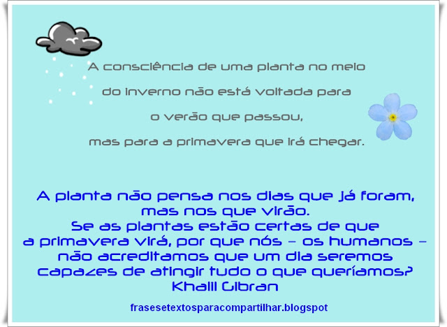 blog frases e textos para compartilhar