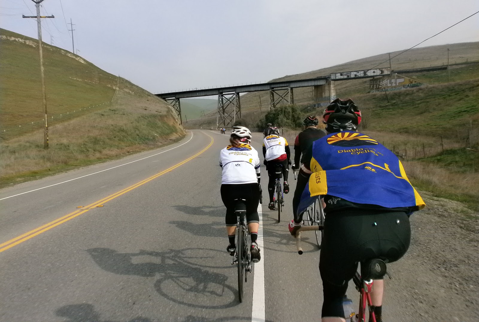 Gruppo Pumpkincycle Dyer RoadPatterson Pass (2013)