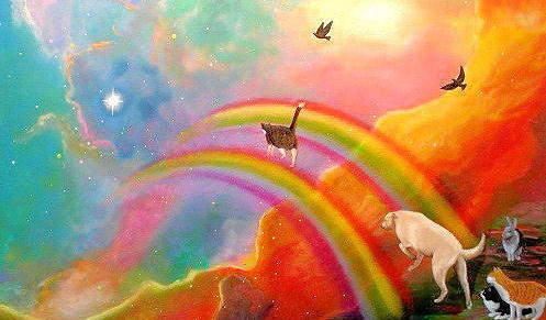 Soulpet (Rainbow Bridge Healing) by Amylim Healing: Rainbow Bridge