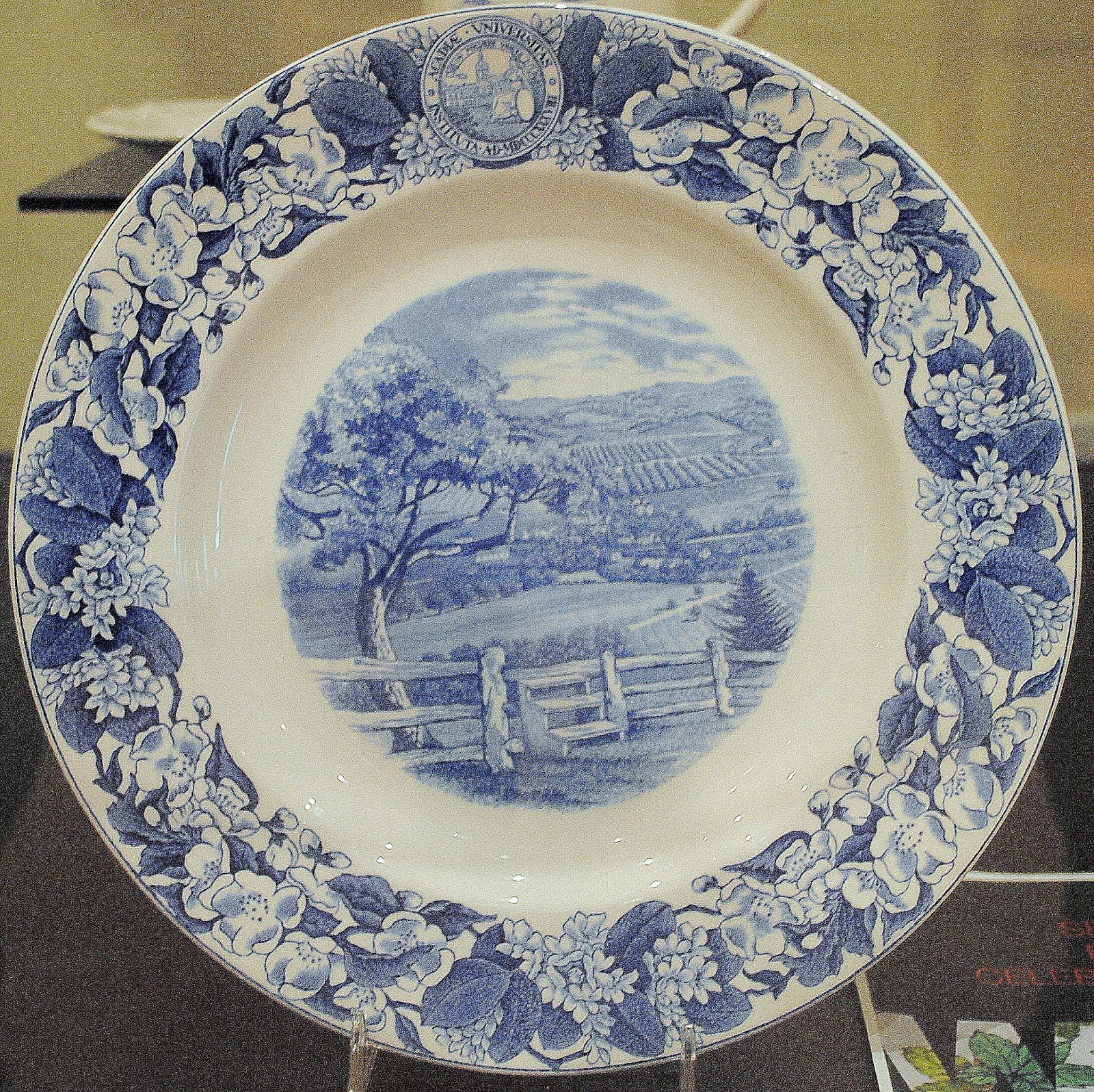 Camera on King & Aurora More of museum's new Wedgwood collection