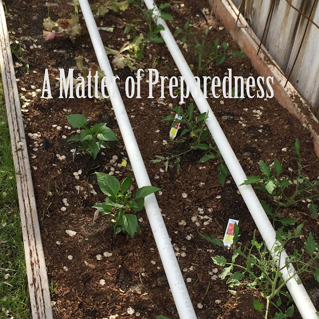 A matter of preparedness: It's a Matter of Food Safety/Food Recalls And