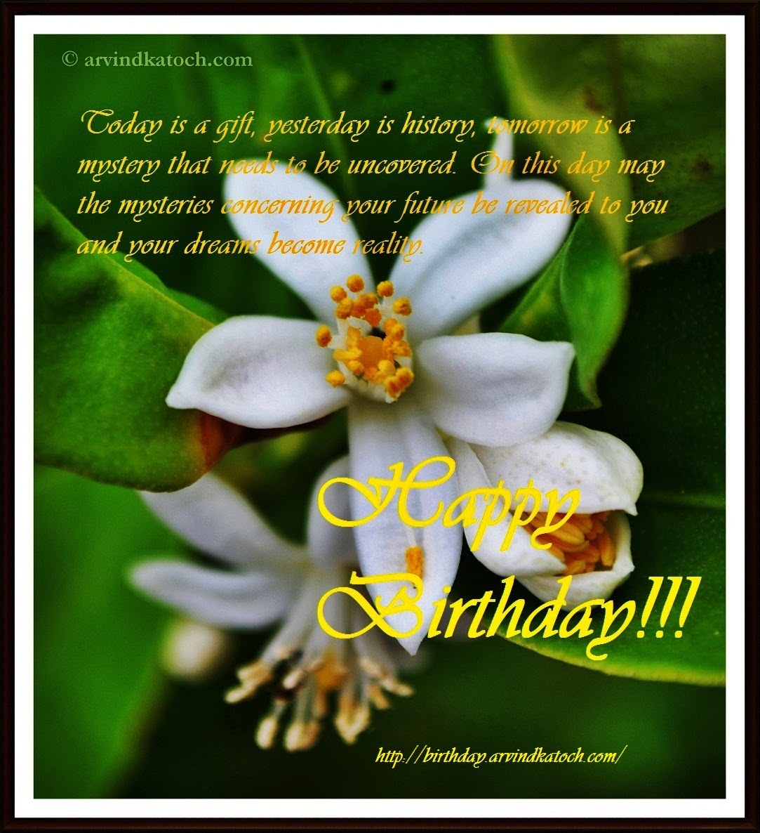 True Picture HD Birthday Cards Today is a gift yesterday is history