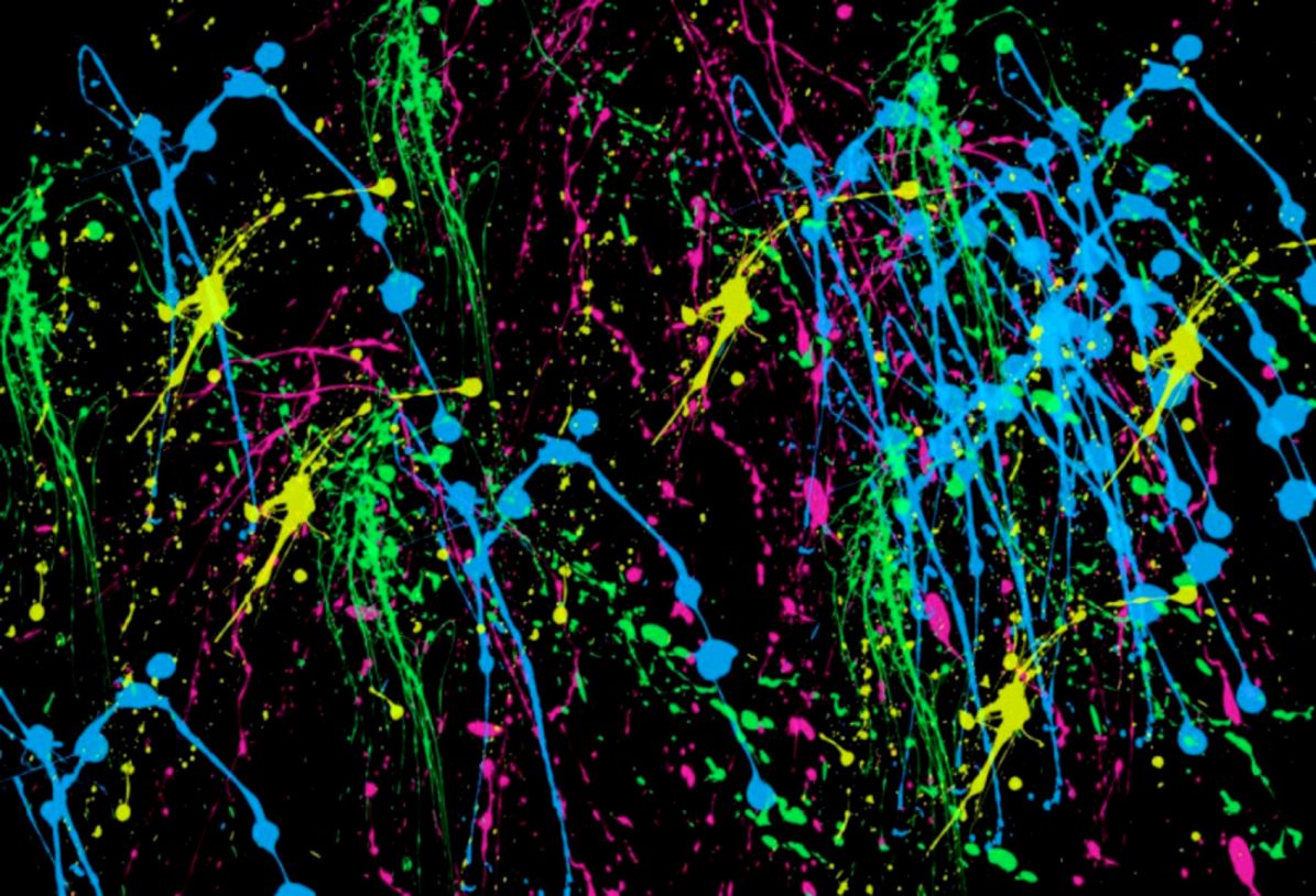 Splat paintings Splat paintings