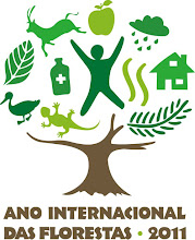 2011 - International Year of Forests