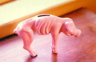 Look at my piggy bank after I bought gas this morning