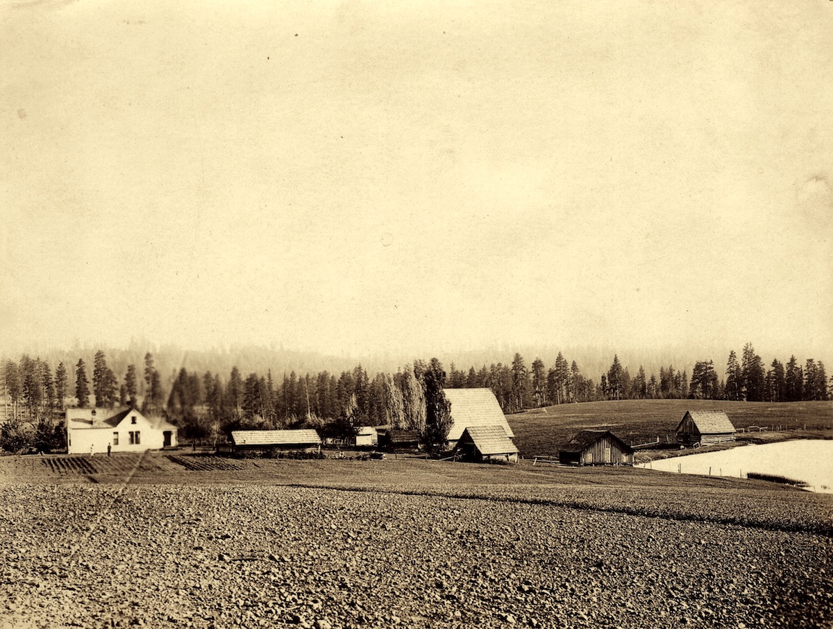 A drifting cowboy Cowboy Legacy Kendrick, Idaho 1903 1928