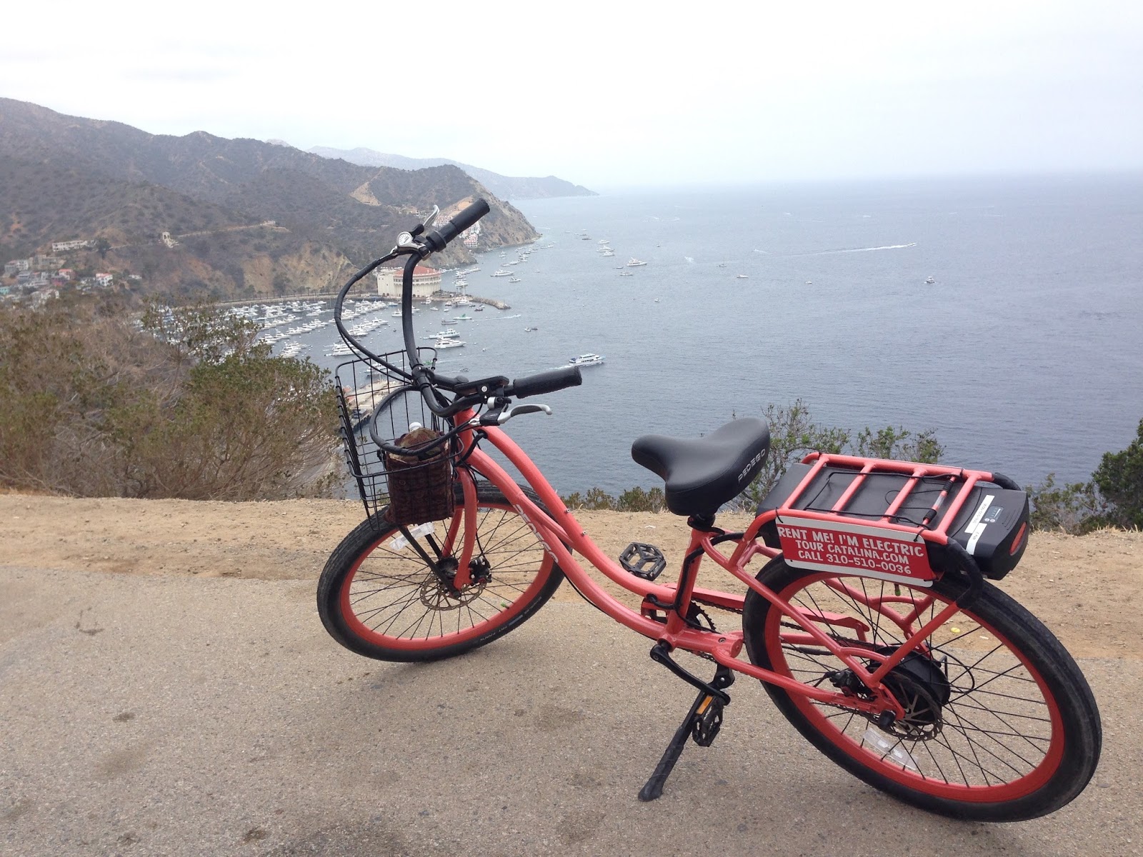 No Hurry in J.C. A Day on Catalina