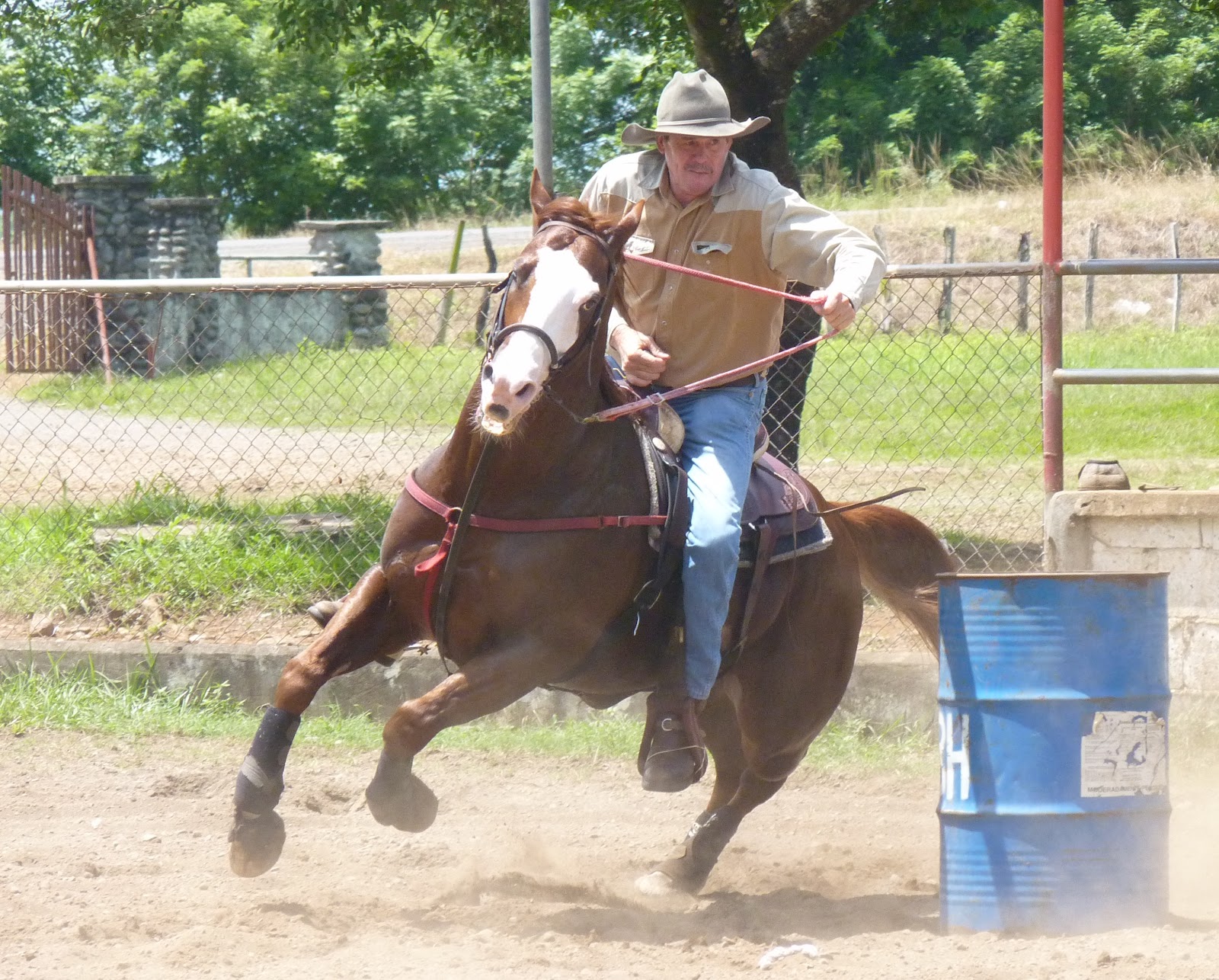 Horse Talk Panama Carreras de Barriles la Competencia Panamá•Barrel