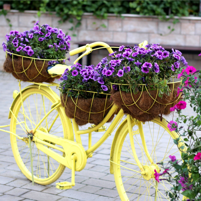 Decorar el jardín con bicicletas viejas, plantas y flores