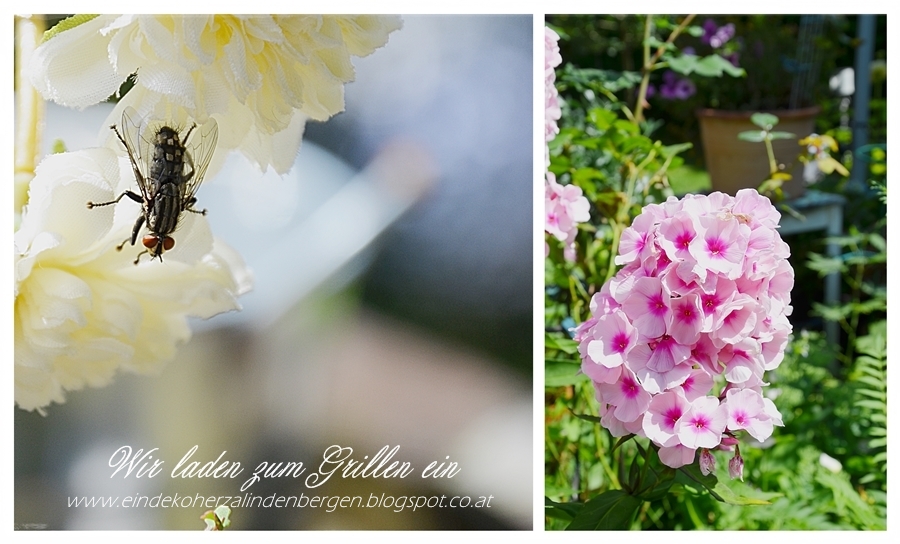 Luftchen Basteln Mit Papier Und Stempeln Creating Kindness Blog