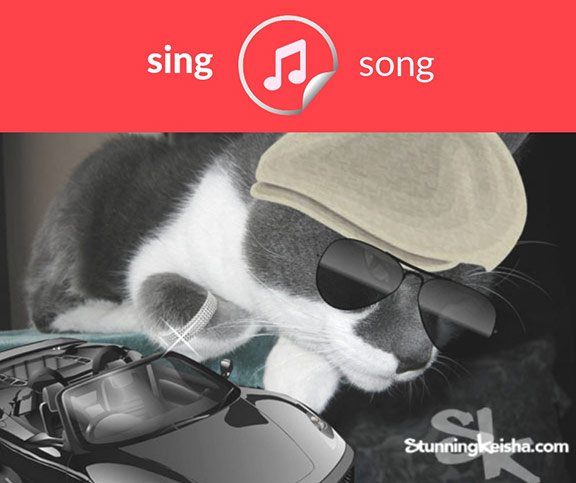 Sing Song