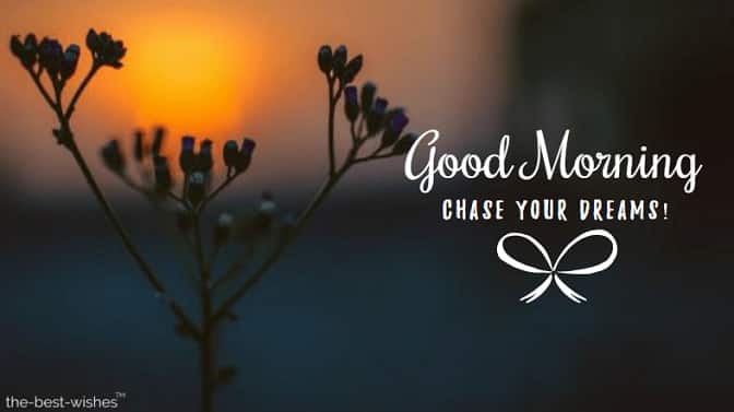 Good Morning Sunshine Quote Image