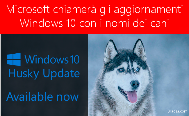 Microsof chiama gli aggiornamenti di Windows 10 con i nomi dei cani