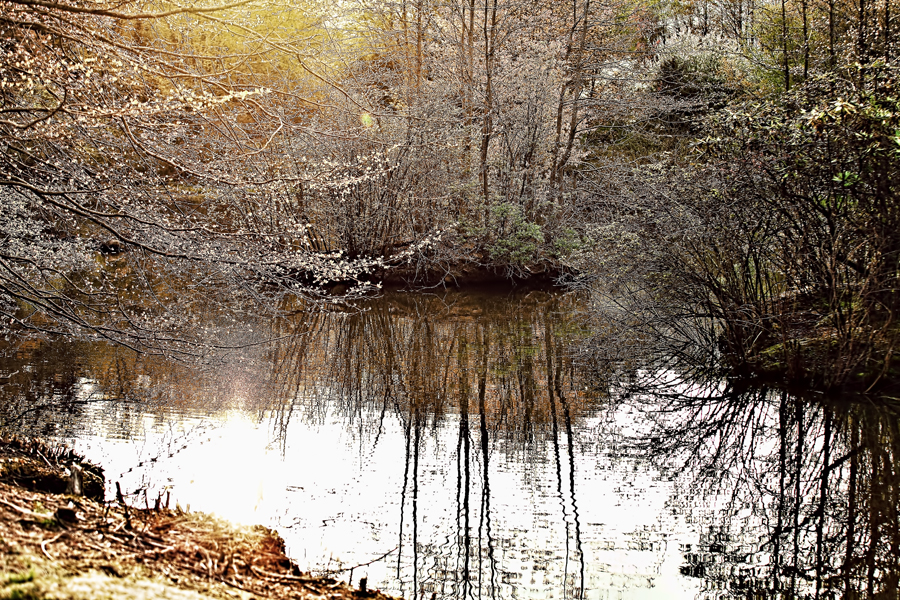 Butler Township, Butler County, PA Preston Park Photography by Melissa