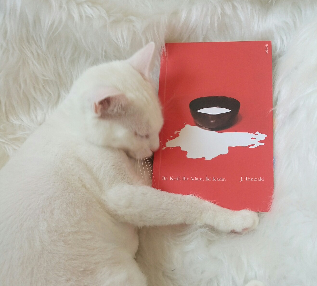 Kitaplarım ve Ben Kitap Blogu Okudum Bitti 86 Bir Kedi, Bir Adam