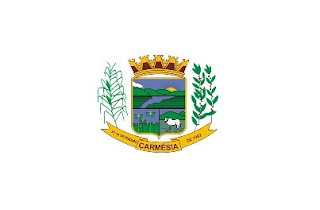 Resultado de imagem para bandeira de carmÃ©sia mg