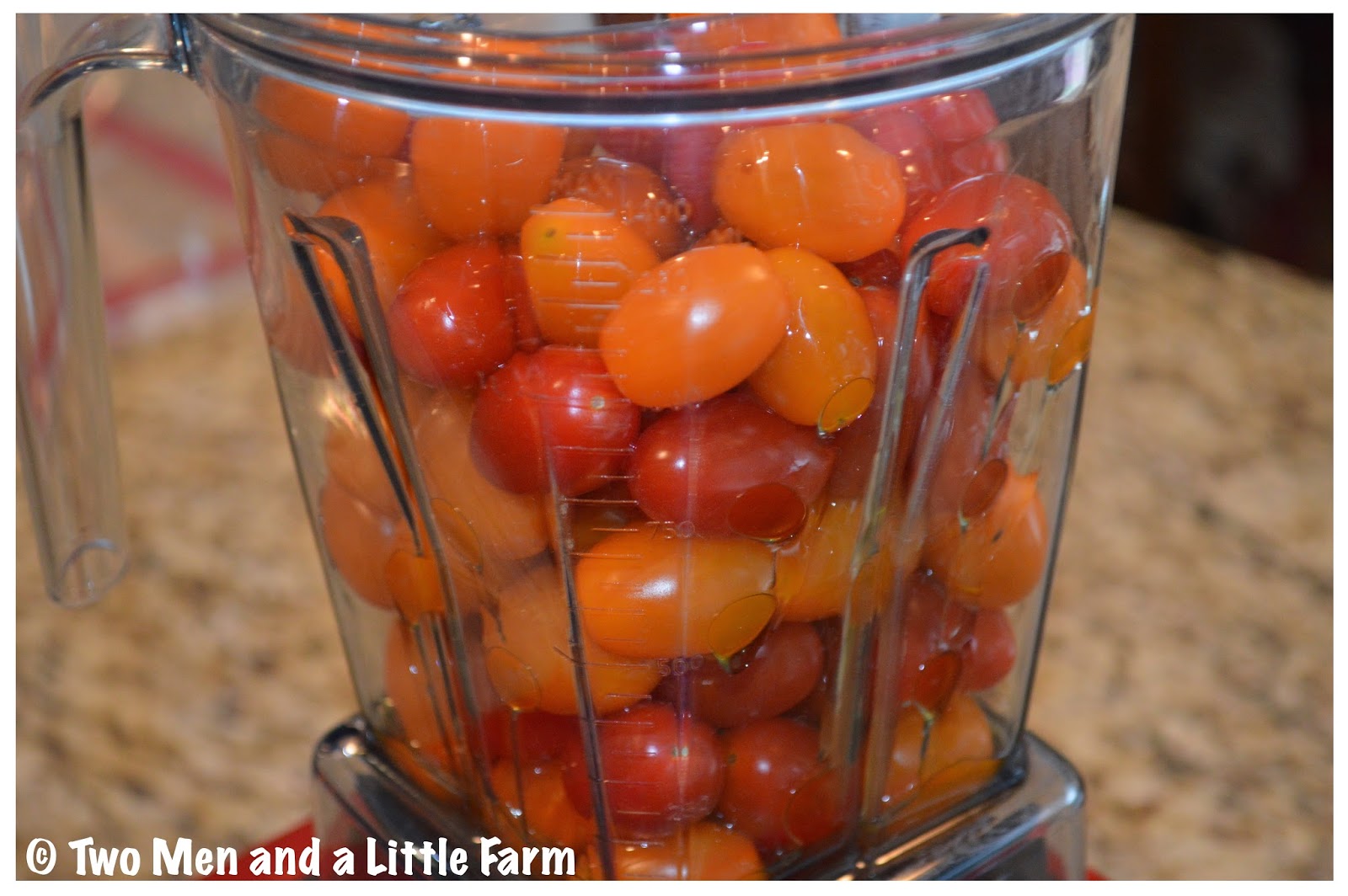 Two Men and a Little Farm VITAMIX FRESH TOMATO SOUP WITH GRILLED CHEESE