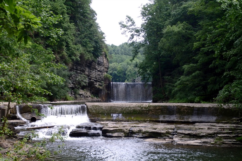 Life in the Slow Lane (The Pearl) June 29 Six Mile Creek, Ithaca, NY