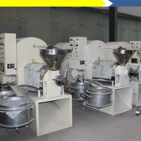 Experience the power of Shea butter Benefits of shea butter processing