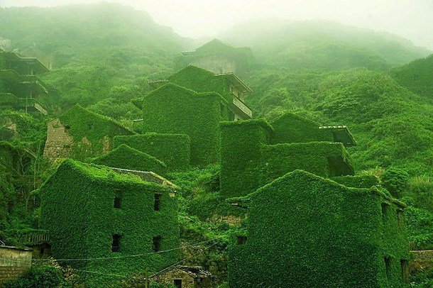 La nature reprend ses droits dans un village chinois  Village-chine-nature-vegetation-3