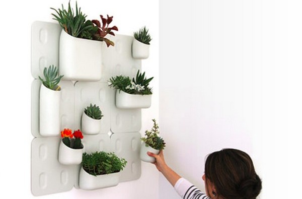 Diseño y Decoración de la Casa: Decoración de la Casa con Macetas