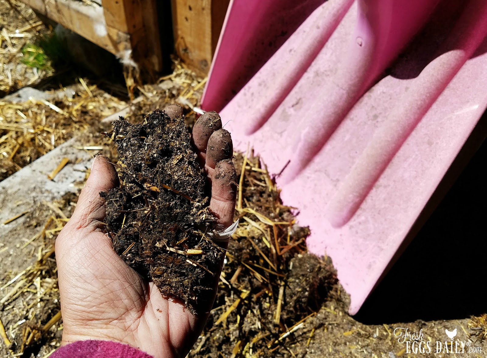 The Deep Litter Method aka Chicken Coop Winter Composting Fresh Eggs Daily®