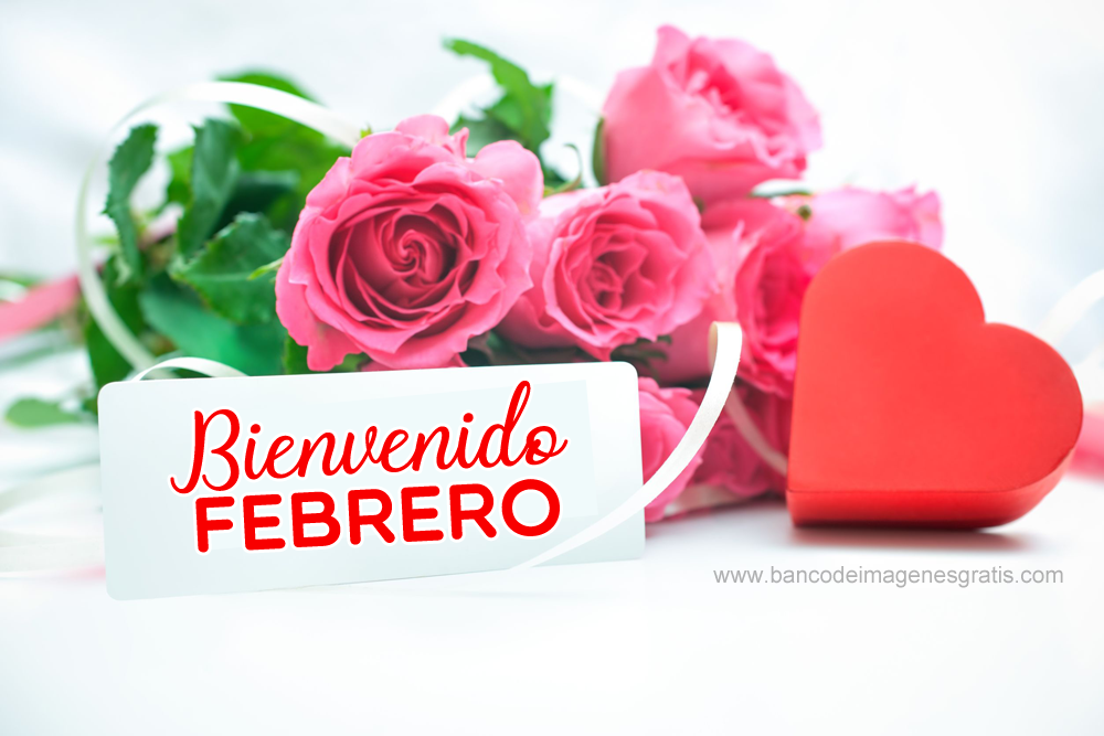 https://3.bp.blogspot.com/-Fa_ydID38Q0/XFNHwxbYavI/AAAAAAADao8/WNkkBAg1t_AZ7hrtCuUdhnbGmkGTjGCPgCLcBGAs/s1600/BIENVENIDO%2BFEBRERO%2B000005.png