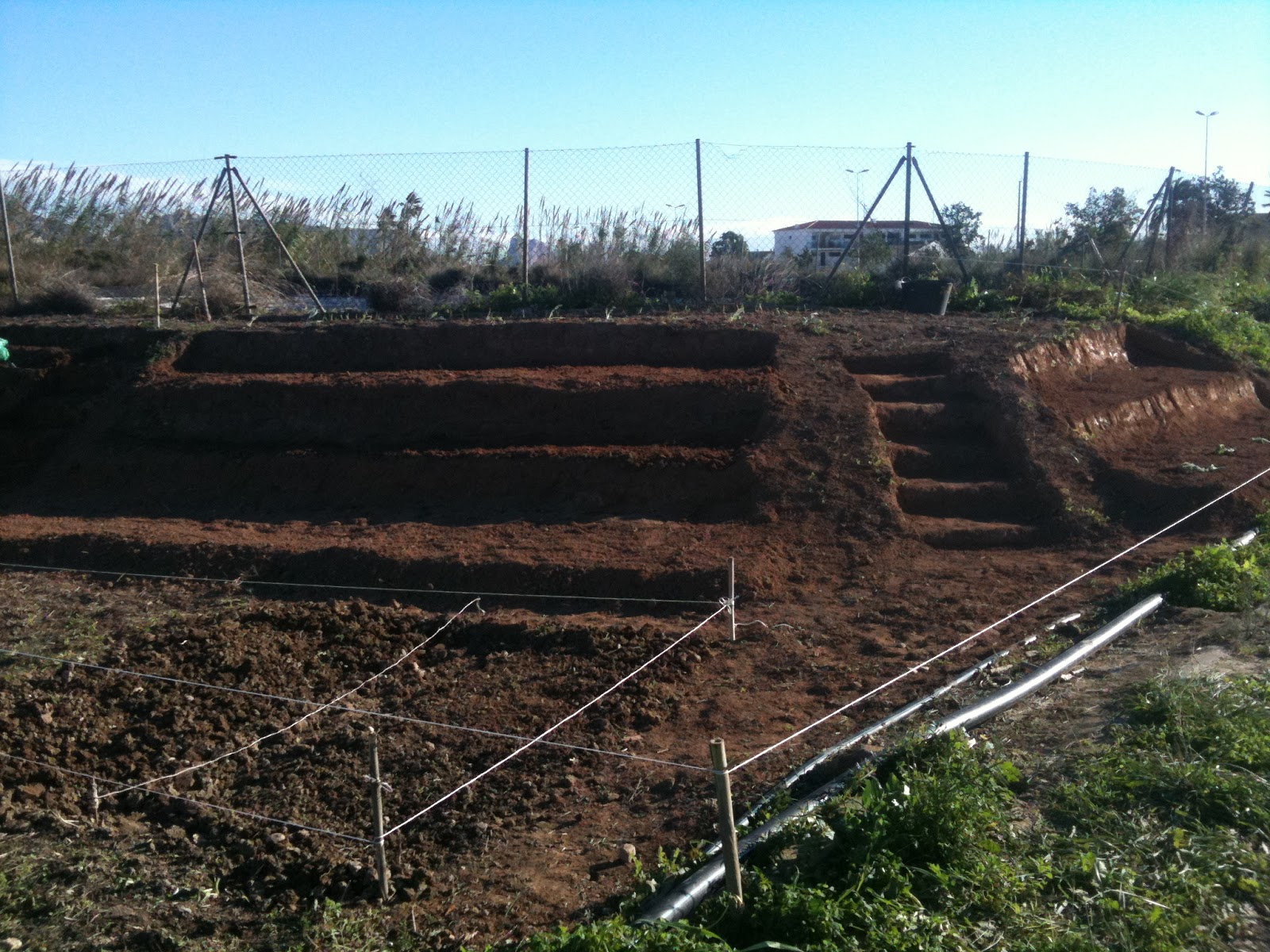 MY HUERTO URBANO: APROVECHANDO EL TERRENO