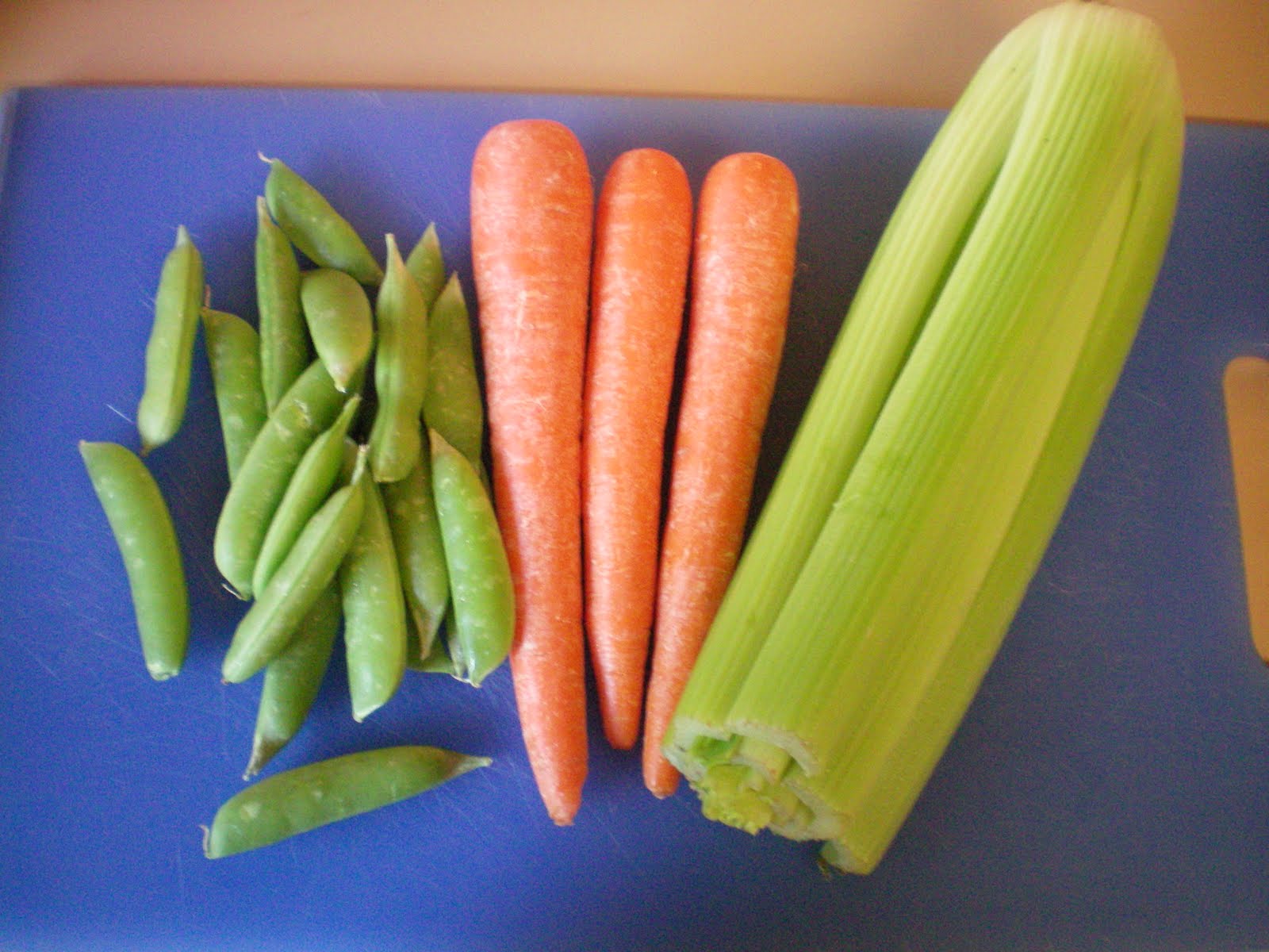 The Primal Home Dehydrating Carrots and Celery