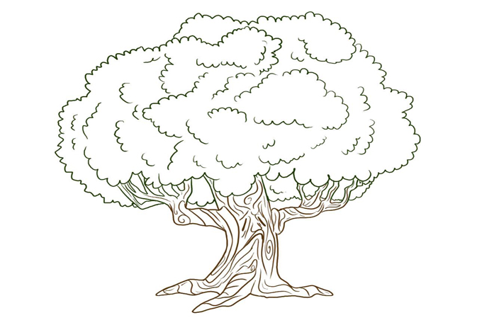 صورة شجرة للتلوين