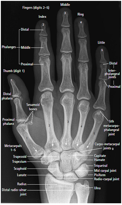 Medical Imaging Technology: June 2013