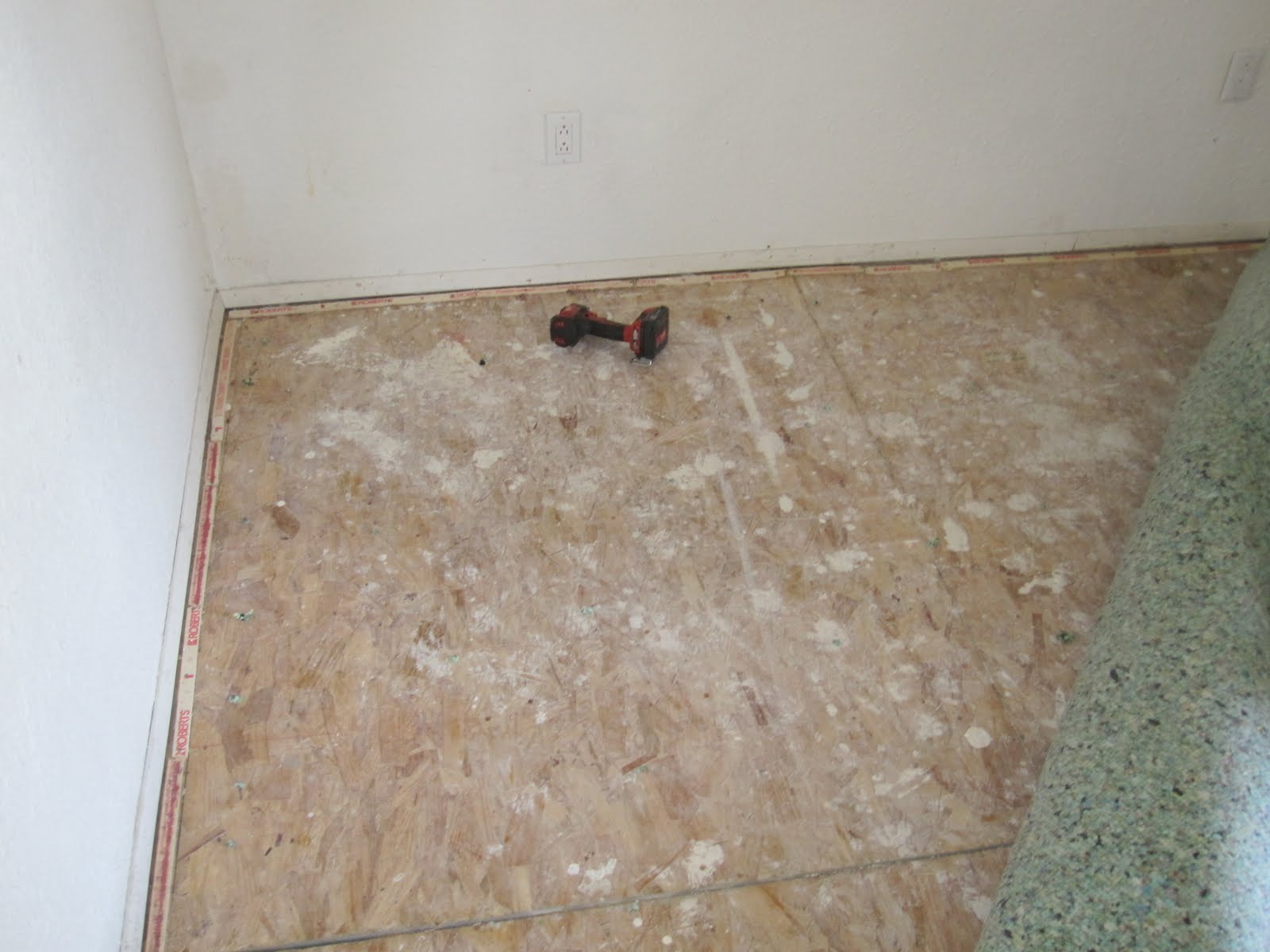 bee rescue ventura Bees under floor in gym shed