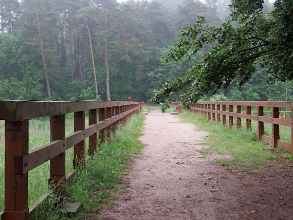 Most nad Wiercicą most