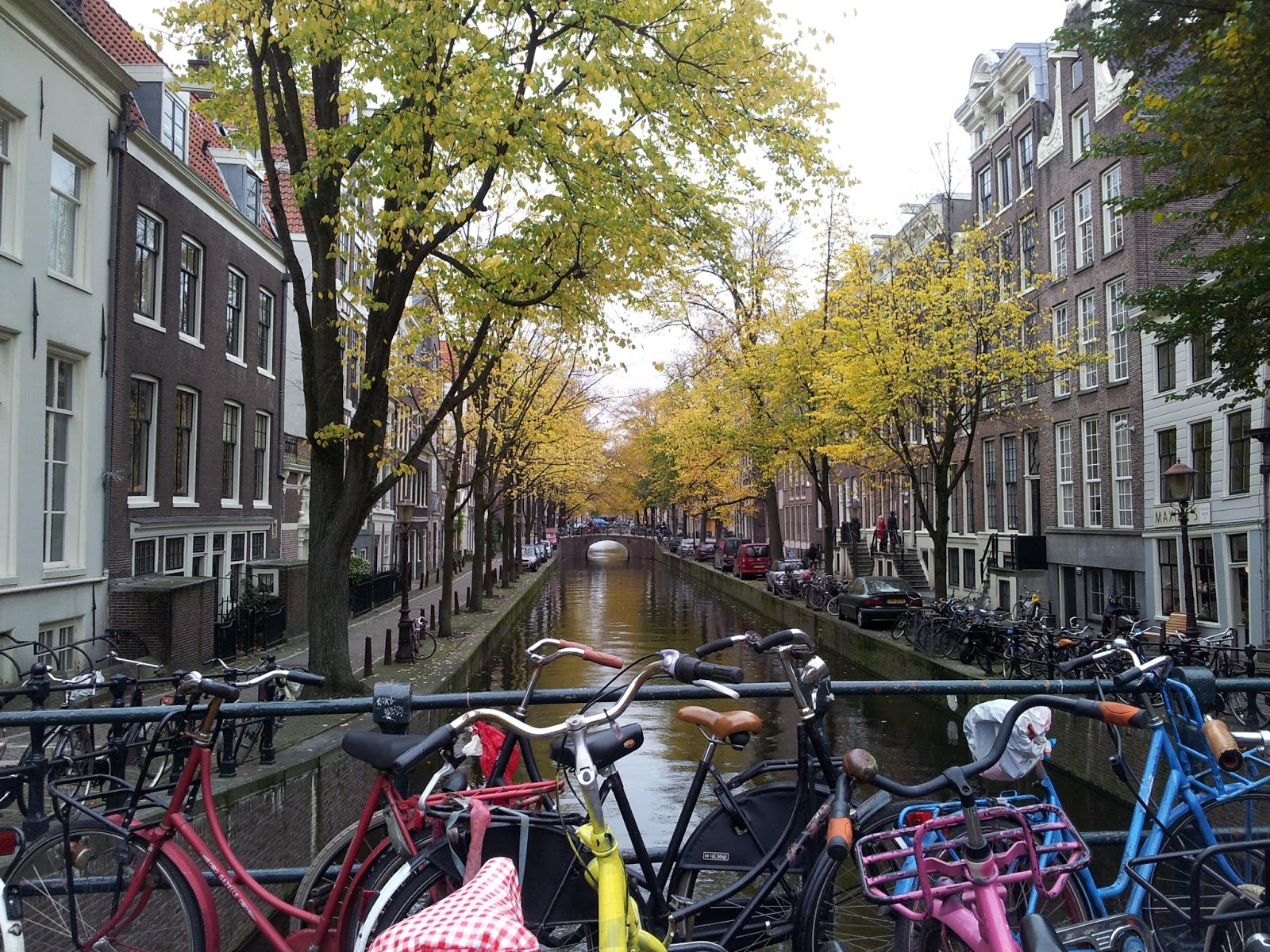 Kasım ayında Amsterdama seyahat Kasım ayında Amsterdama seyahat