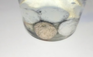 My polymer clay lava beads placed in water to dissolve the salt