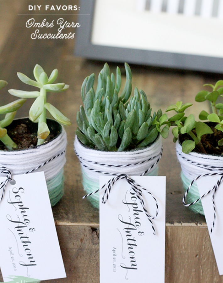 7 Detalles handmade con suculentas para invitados de boda