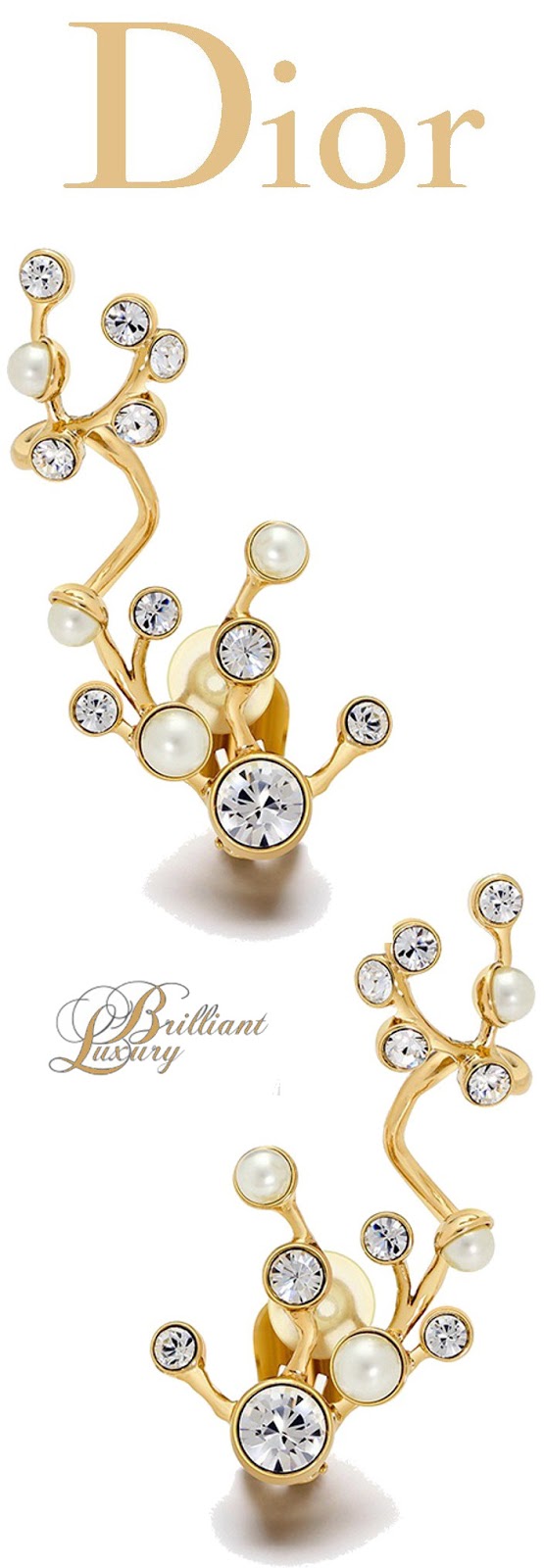 Brilliant Luxury ♦Dior Jewelry Collection 2015 Part I