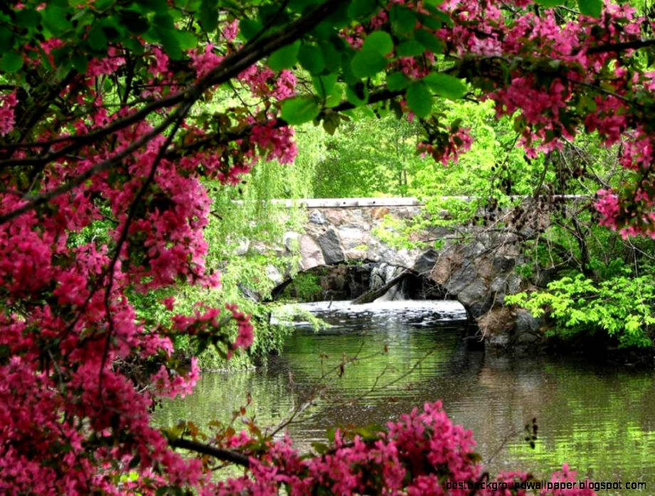 Nature Free Wallpaper For Desktop   Hd Wallpapers