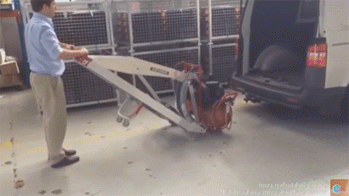9.gif