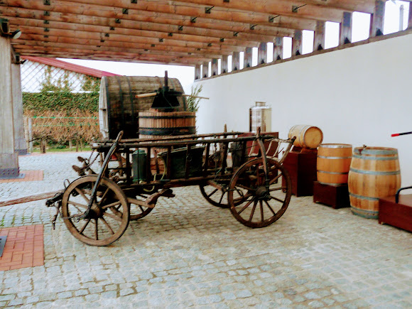 Шабо. Центр культуры вина. Экспозиция в открытом павильоне