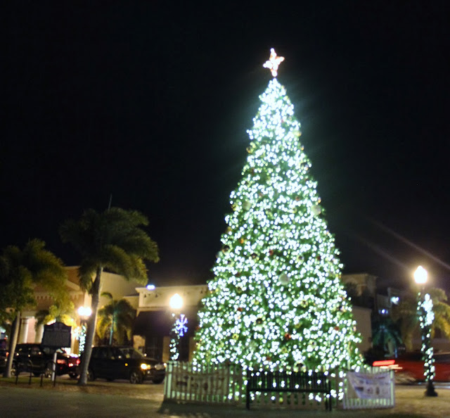 Punta Gorda Florida Daily Photo Punta Gorda Downtown Christmas Tree