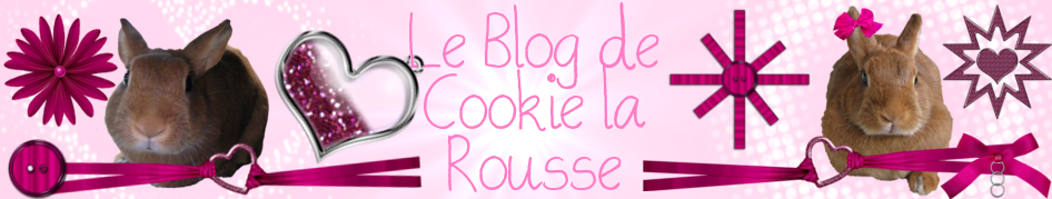 Blog de Cookie La Rousse