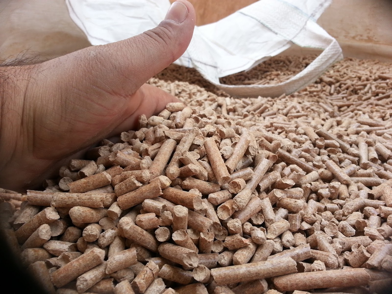 WOOD PELLET IN EGYPT
