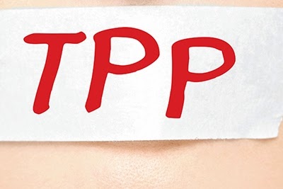 Kemendikbud membuat kebijakan bahwa SK pencairan TPP hanya berlaku untuk enam bulan.